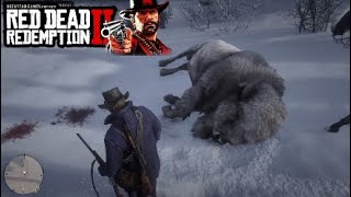 Red Dead Redemption 2 - How to find a Legendary White Bison