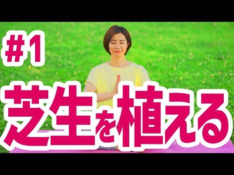 園芸 芝生を植える