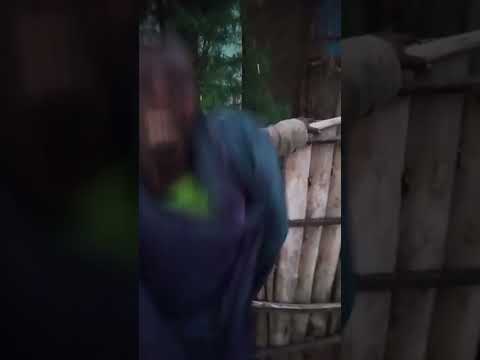 ይሄን ሳቅ በሳቅ የሚያደርግ ልጅ ተመልከቱት