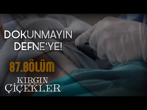 Kızlar mafyanın elinden kurtulabilecek mi? - Kırgın Çiçekler 87.Bölüm