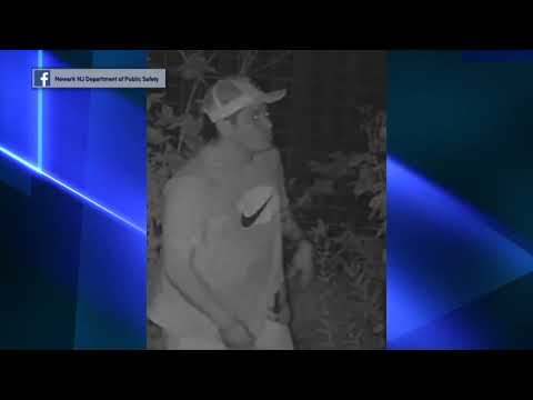 Newark Assault & Robbery Suspect