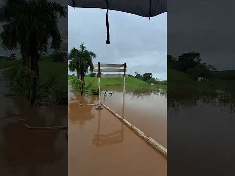 cheia sobre a ponte/bueira em Macujê, Aliança Pernambuco #enchente