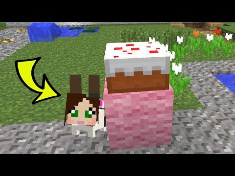 Minecraft: BUNNY HIDE AND SEEK! - BEATING POPULARMMOS