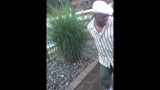 VID_20140802_193012.mp4