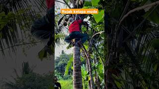 Download lagu Rujak kelapa muda mp3