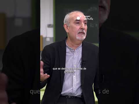 El debate sobre la protección jurídica de los funcionarios en España.