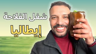 توانسة يحولون الفلاحة في إيطاليا إلى قصة نجاح!