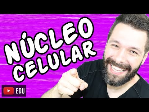NÚCLEO CELULAR - Aula | Biologia com Samuel Cunha