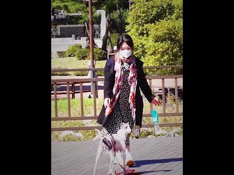 She adopted him not knowing what he'd been through 💔