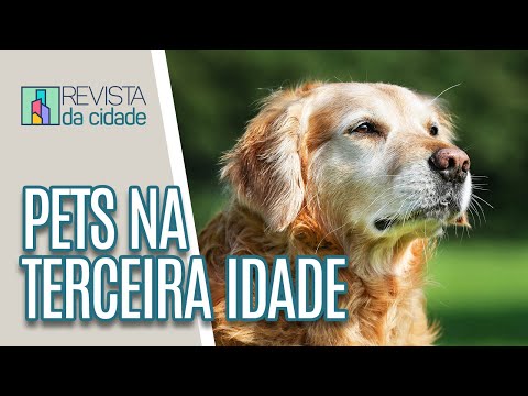 Como cuidar de pets que estão na terceira idade - Revista da Cidade (26/02/20)