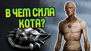 Насколько Cилен Лео Бонарт? Ведьмак Истории