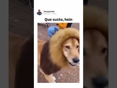 Que loucura #memes  #viralizou #caramelo