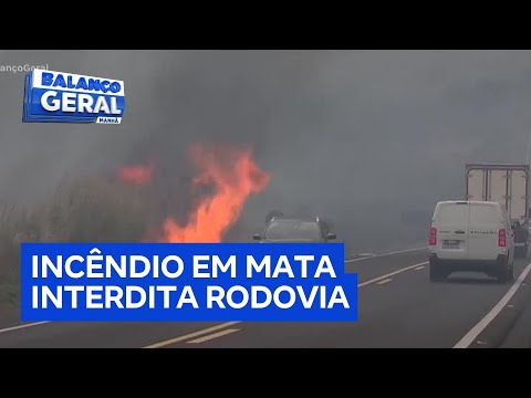 Incêndio em área de mata interdita rodovia no interior paulista por duas horas