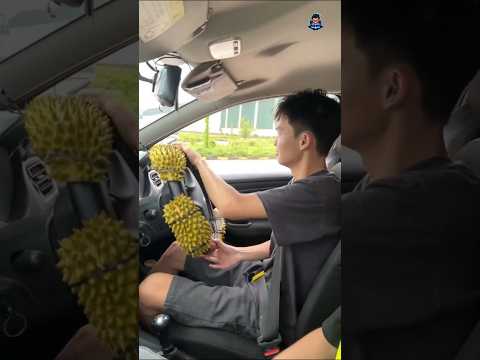 عقاب في أول درس قيادة! 😳
