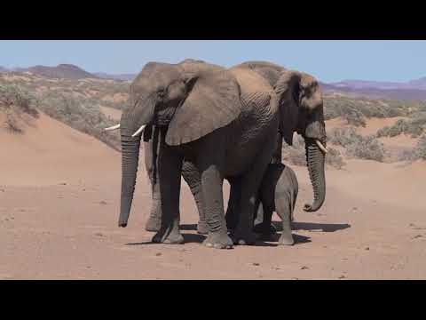 Furtunile de nisip – călătoria vântului și nisipului