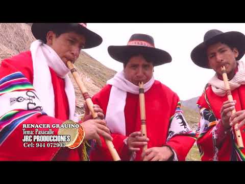 PASA CALLE - RENACER GRAUINO