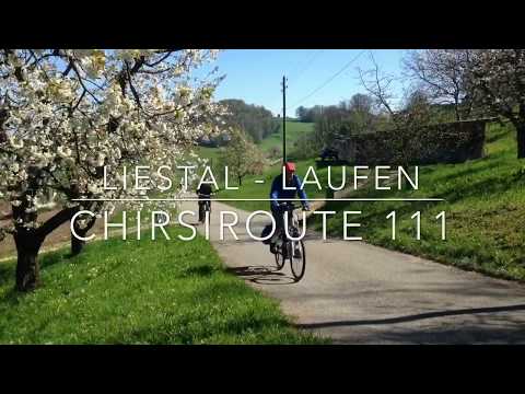 Chirsiroute 111 in der Blütenpracht