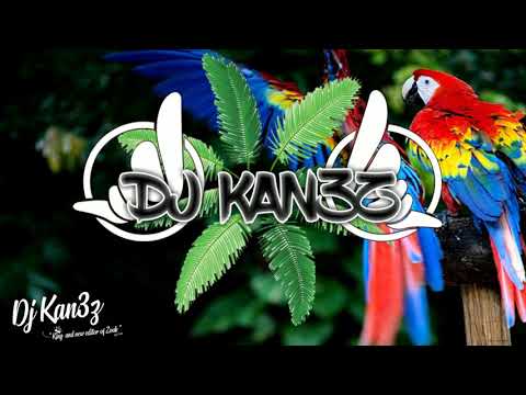 DJ KAN3Z X TENNY - C'est plus l'heure X Bazardé ( REMIX KOMPA )