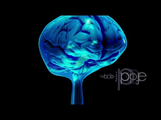 Video de pronunciación de cerebrospinal fluid en Inglés