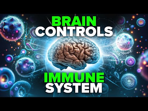 Brain-Body Immune Axis Controls Inflammatory Response
