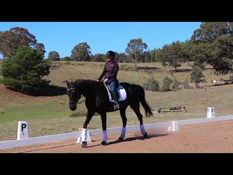 Arnie Flat Work 01-10-17