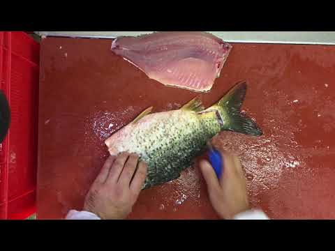 jak filetovat a připravit kapra