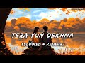 Tera Yun Dekhna (Slowed + Reverb) | Saaj Bhatt, Anupama Raag, Danish Sabri | 2Am Aesthetics