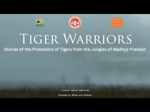 Tiger Warriors