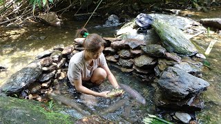 Download lagu Fishing video - Stone fish trap - Catch a lot of fish in the stream - Bushcraft Survival mp3