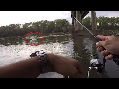 Spinning - Top water asp!