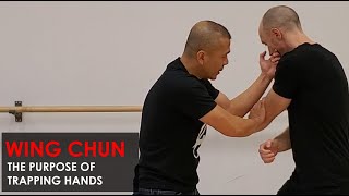 The purpose of Trapping - Wing Chun, Kung Fu Report - Adam Chan