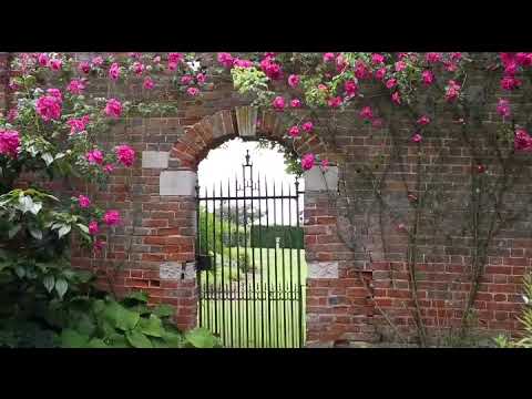 Larry - Garden of wraith (rolls royce video preview)