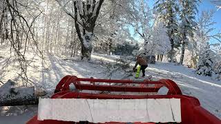 2024 Storm Cleanup - Downed Tree