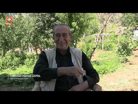 Hayat Ağacı - M.Hamdi ÜSTEL'in  Hayat Hikayesi - 23 Ekim 2023
