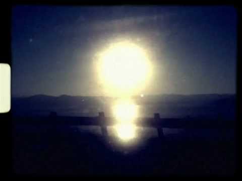 Elusive- Scott Matthews