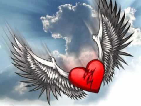 Armando y Rene  Album Completo