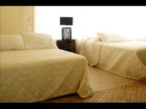 LE LAGOTO BAND VOL 7-LE LAGOTO