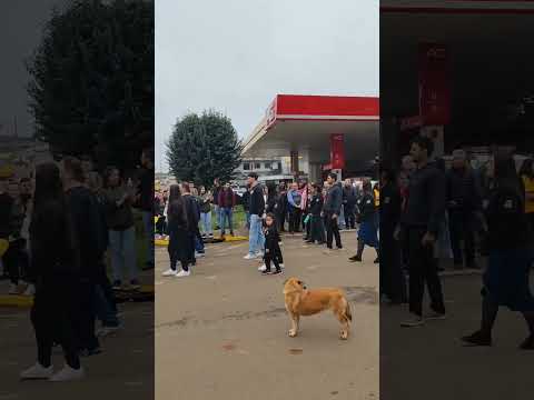 Desfile JUMPER 02 - 7 de setembro de 2025 em Timbó Grande/SC