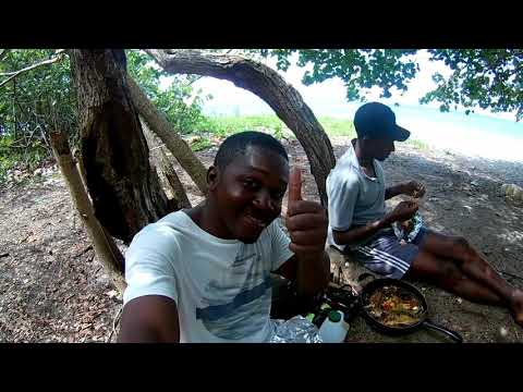 download lagu mp3 mp4 Best Time To Fish In Jamaica, download lagu Best Time To Fish In Jamaica gratis, unduh video klip Best Time To Fish In Jamaica