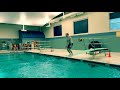 William Settle 1m Dive compilation