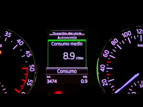 Škoda Octavia. Modelo 2013. Cuadro de instrumentos con pantalla MaxiDot a color