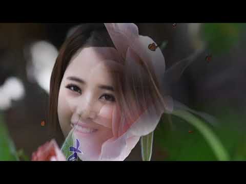 Em như nụ hồng Sheet - Quang Minh