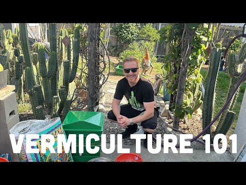 Vermiculture 101: Create the Richest Compost Available with Worm Farming! | Mallacht's Plants