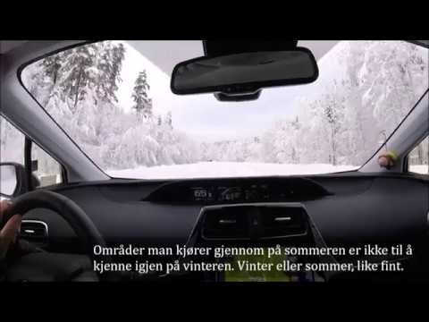 Kontrastene mellom vinter og sommer på en av favorittveiene. 