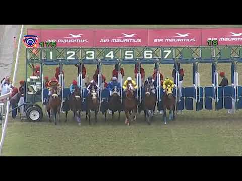 RM17 R5 - Yankee Captain(R.Fradd)