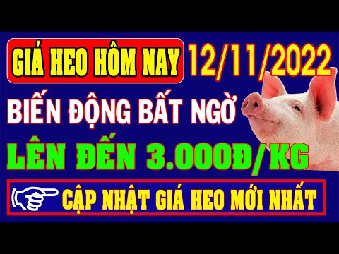 , title : 'Giá heo hơi hôm nay ngày 12/11/2022 - BIẾN ĐỘNG BẤT NGỜ ĐẾN 3.000Đ/KG.'