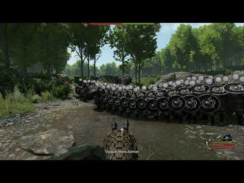 Bannerlord: Sturgian Shieldwall vs Vlandian Attackers!