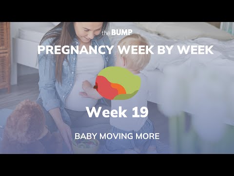 Pregnancy Week 19 | Baby Moving More | Pregnancy Week By Week