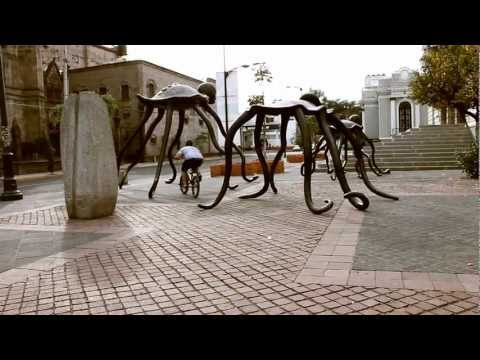 XITEC BMX 2012 (Promo) SERGIO YOUNG