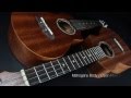 Ibanez UEWS5 Video #1
